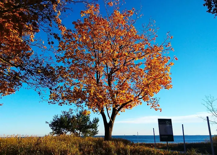 Отель Pomaranczowa Plaza